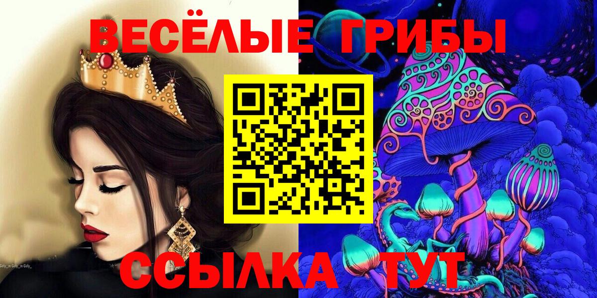 Псилоцибиновые грибы ЛСД Дмитров