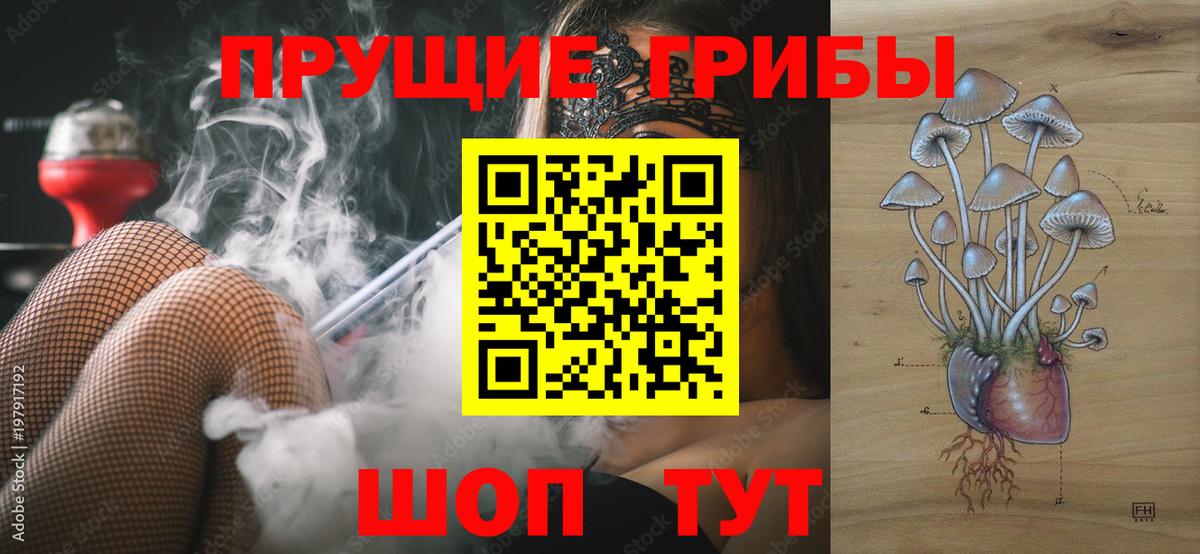 Дмитров  Галлюциногенные грибы Psilocybe  Вход с VPN 